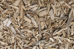 biomass boilers Iarsiadar